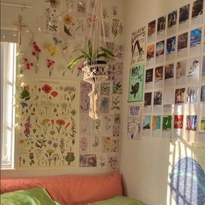 Meet your Posher, Elsa